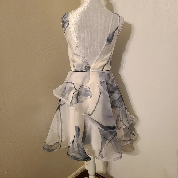 Nha knahn layered ruffle sheer skater style dress - Picture 5 of 10